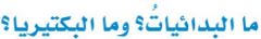 ما البدائيات